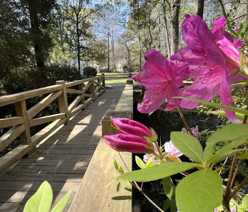 Azalea Park 1