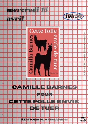 Rencontre avec Camille Barnes pour Cette folle envie de tuer 1
