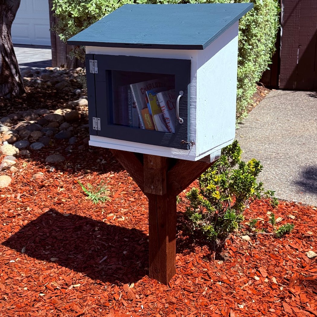 Little Free Library 2