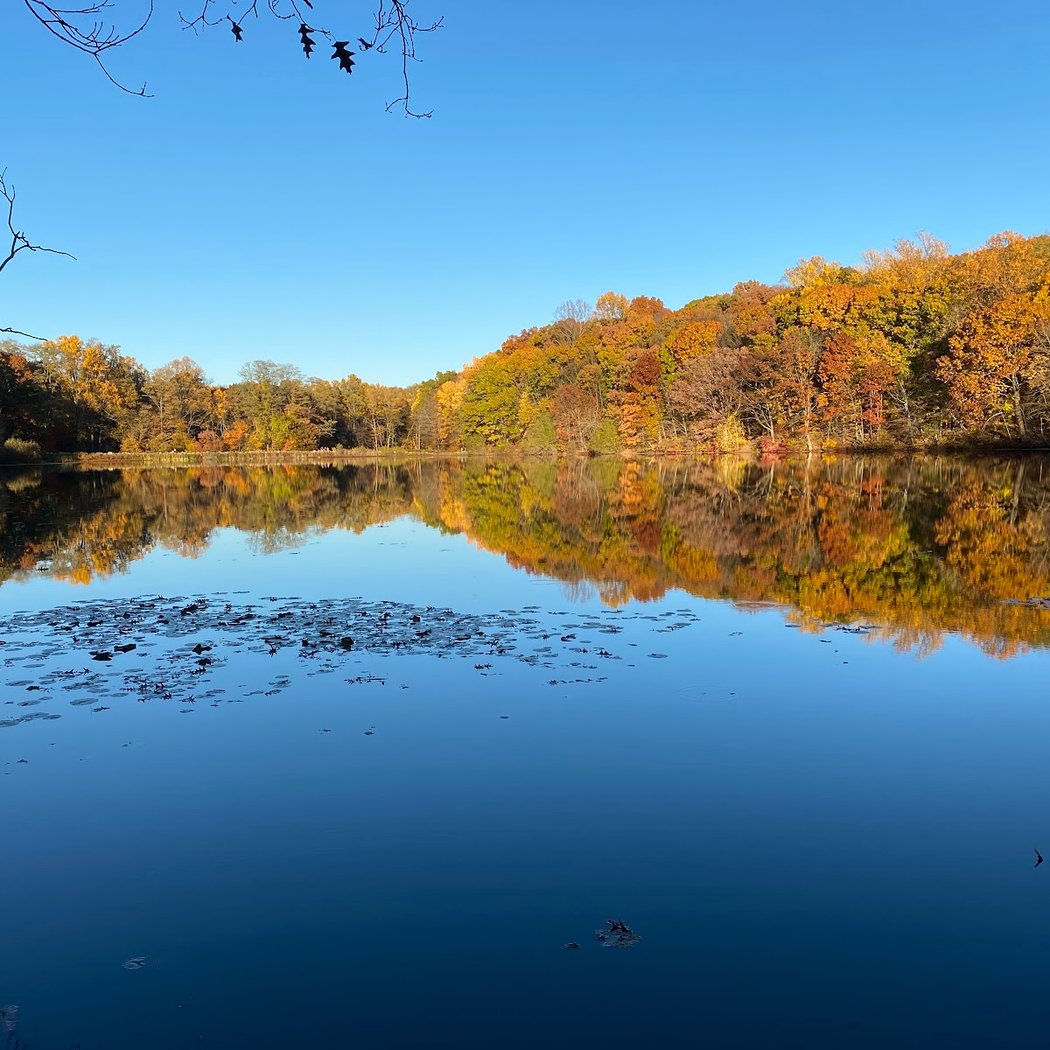 Rockefeller State Park Preserve 1