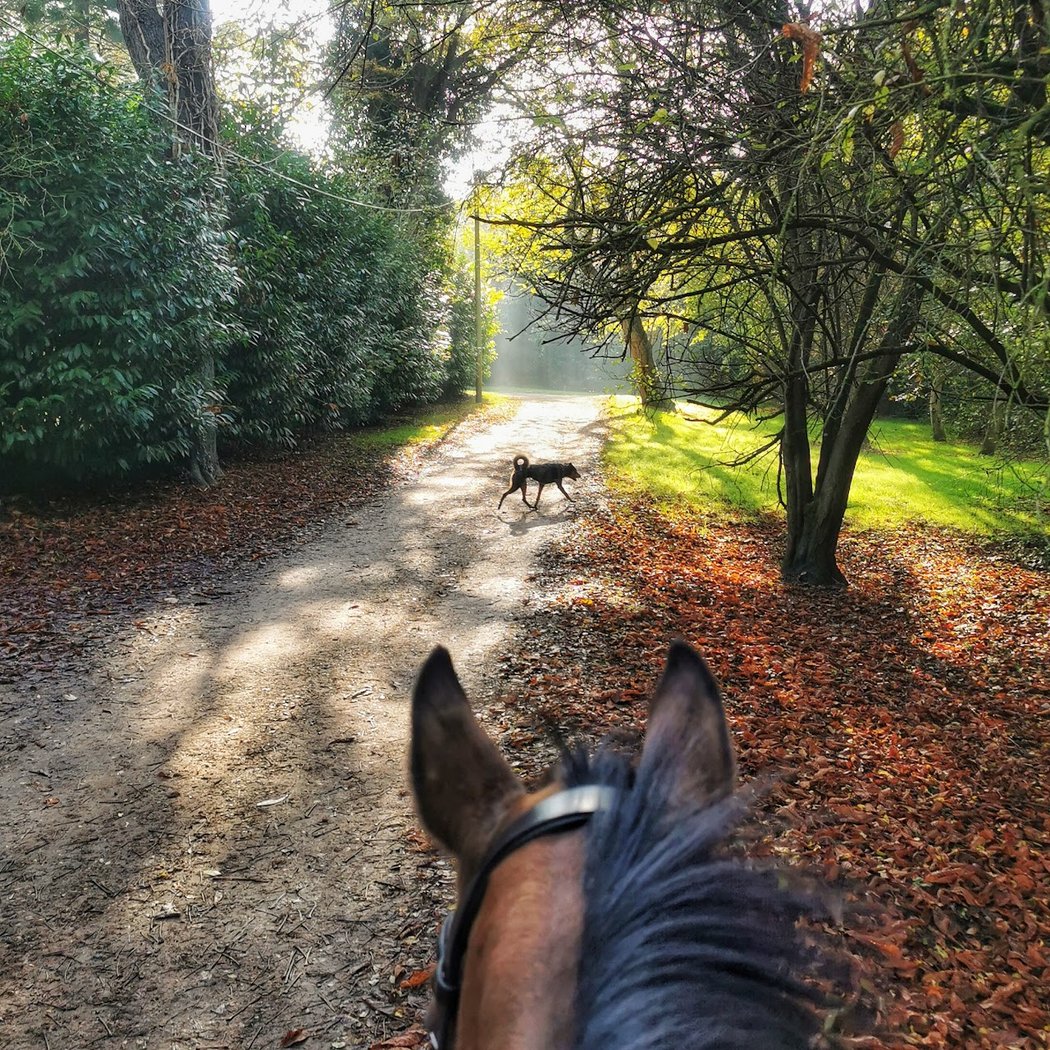 Forêt Régionale de Claye-Souilly 1