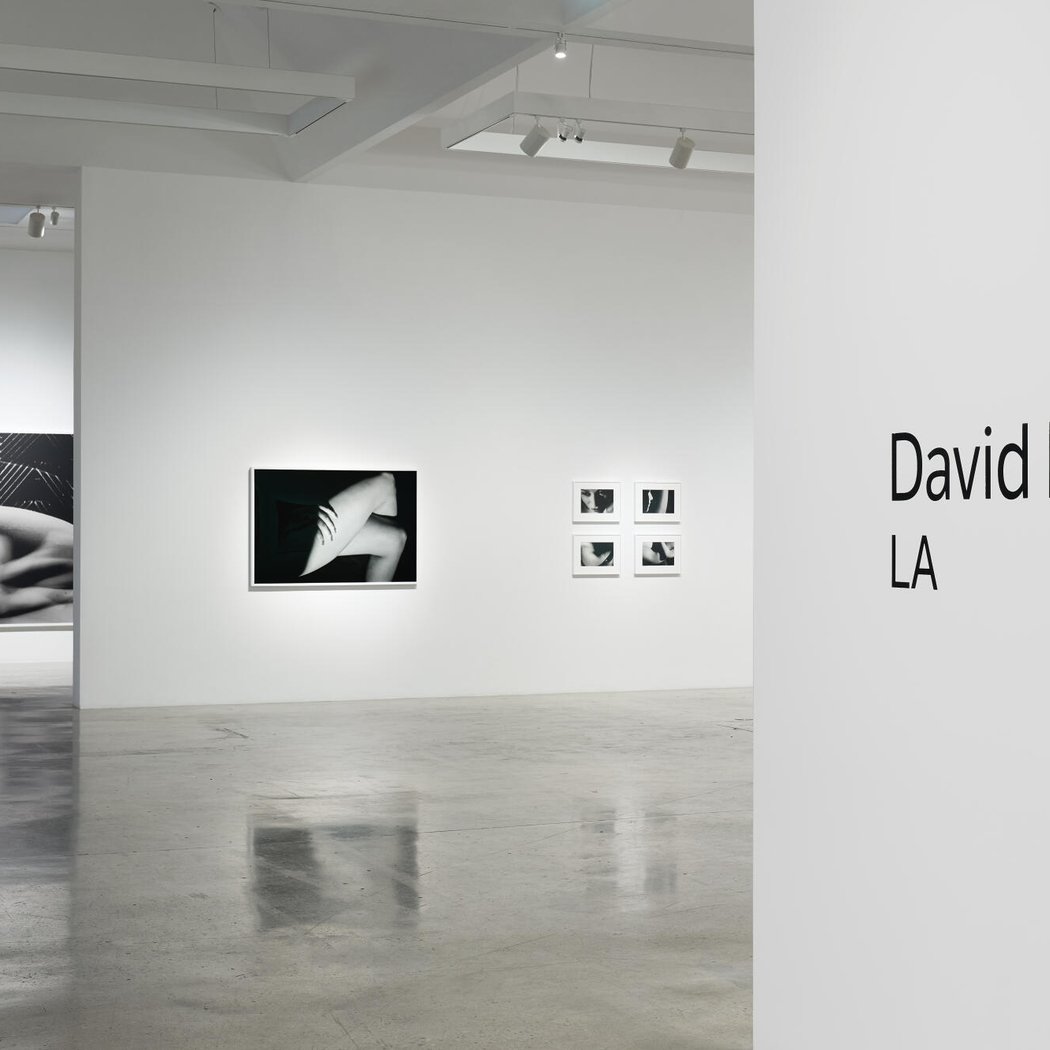 David Lynch: LA