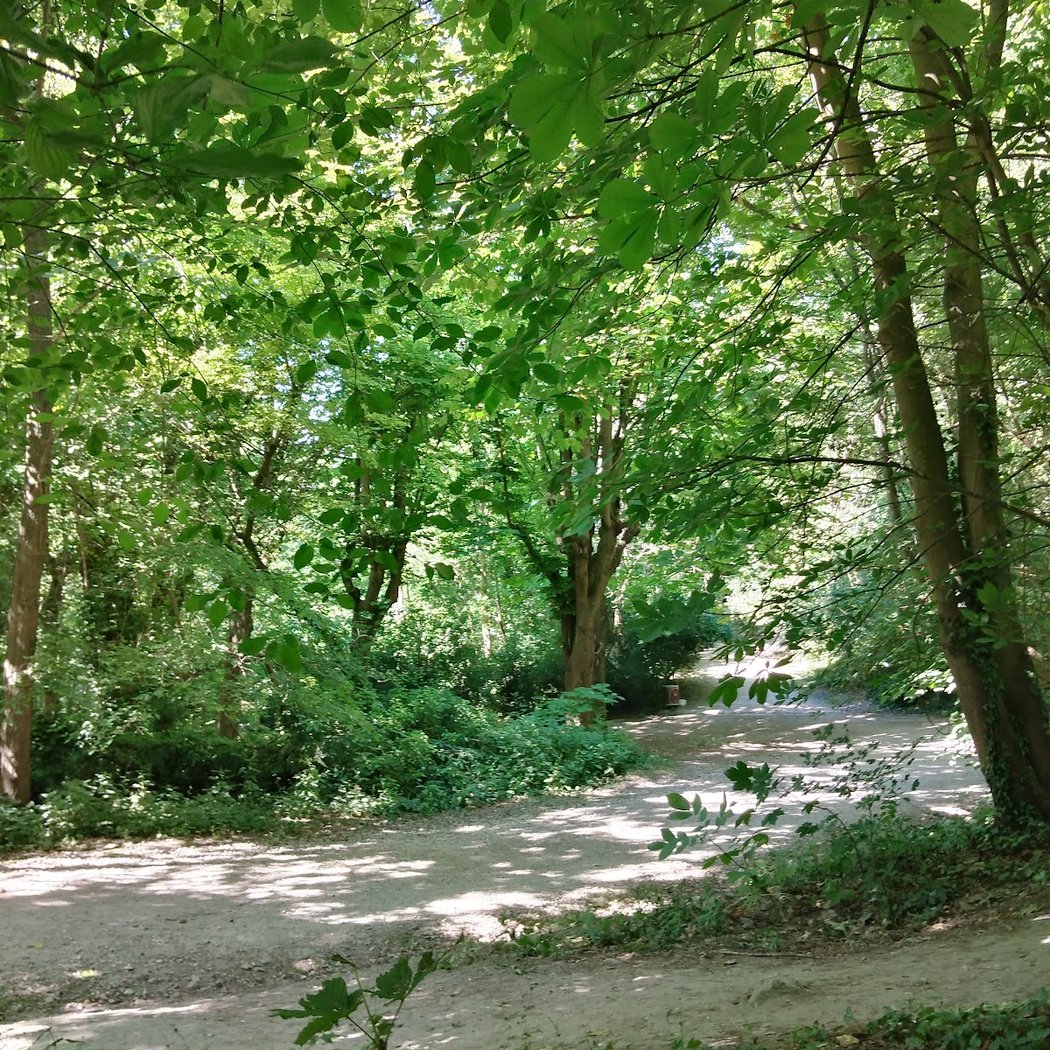 Parc Henri Barbusse 1