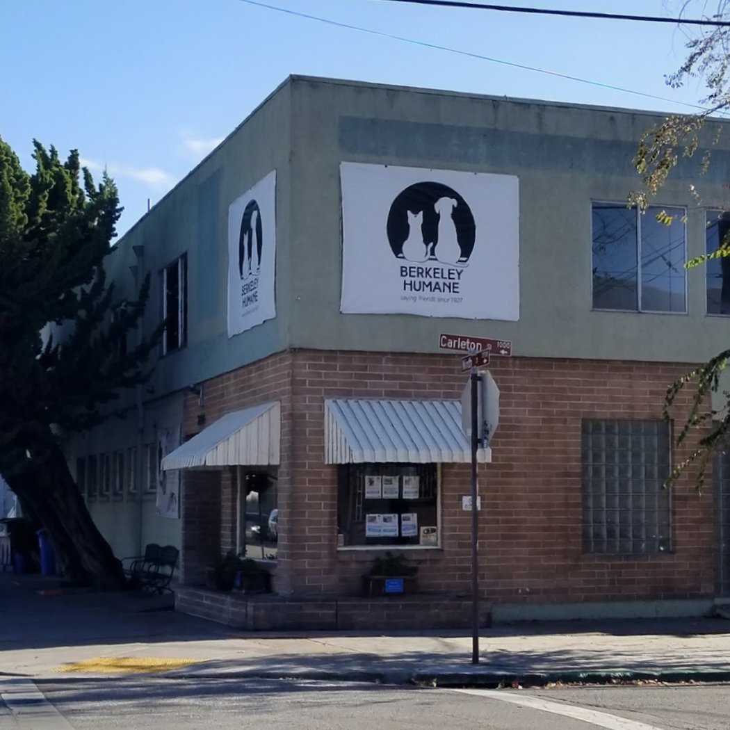 Berkeley Humane 3