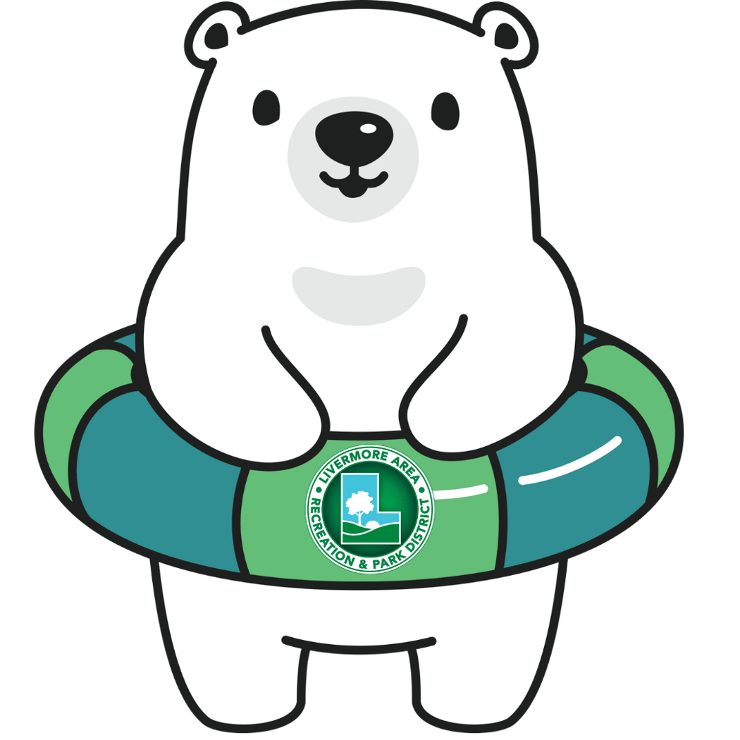 Polar Bear Plunge 2026 1