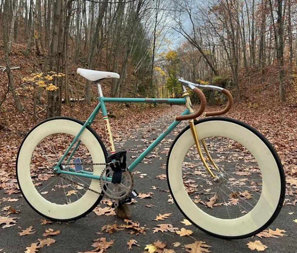Vintage Fixie 1