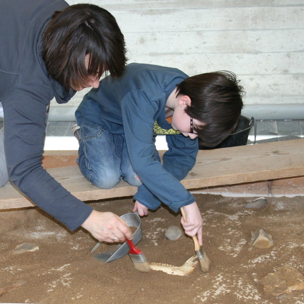 Initiation à la fouille archéologique 1