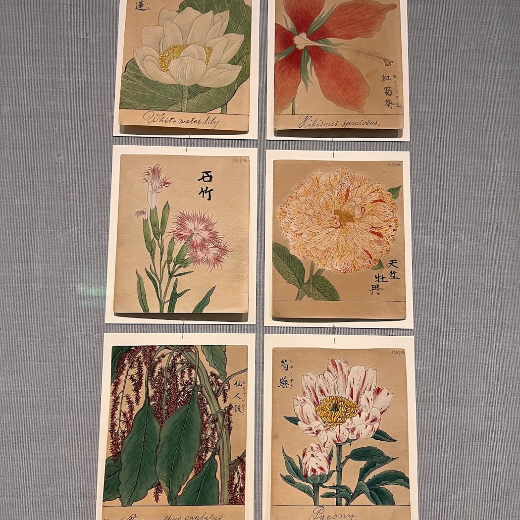 Graphische Sammlung ETH Zürich 1