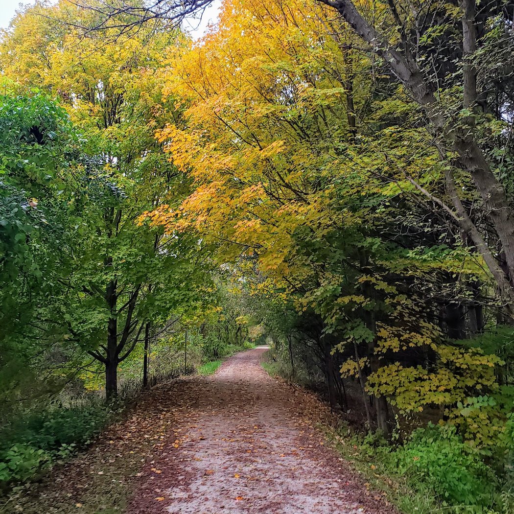 Paint Creek Trail 1