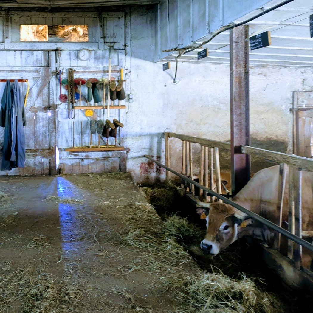 gite à la ferme à la bonne fourche 1