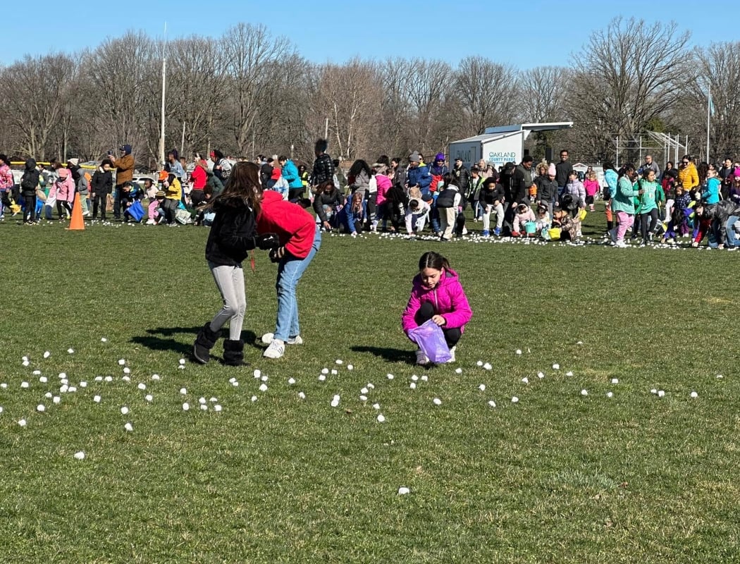 The Great Marshmallow Drop 1