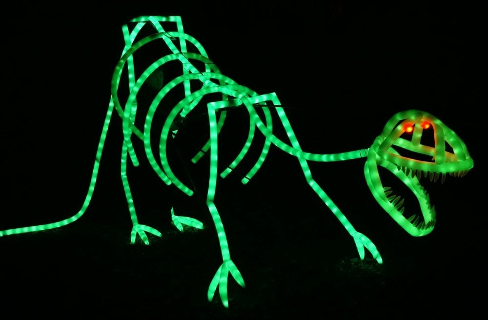 Giant Light Puppet Show 3