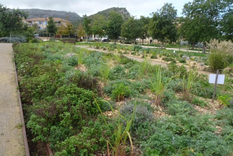 Parc de la Jarre 2