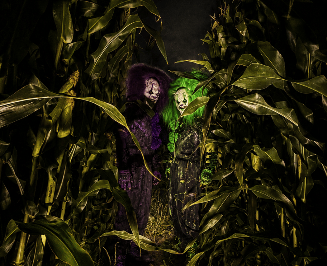 Harvest Nights 2