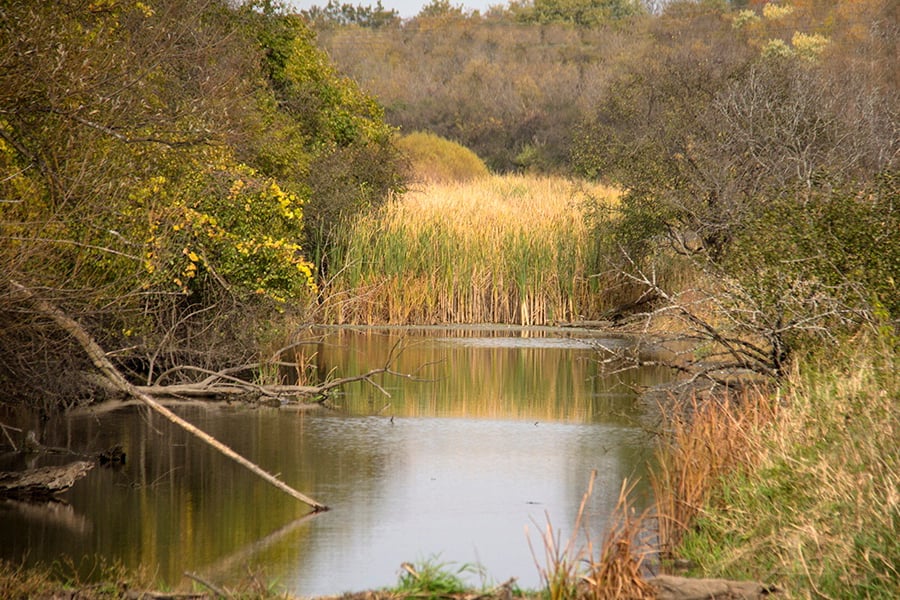 Hidden Lake Forest Preserve 2