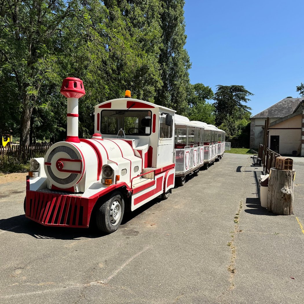 Safari Train 2