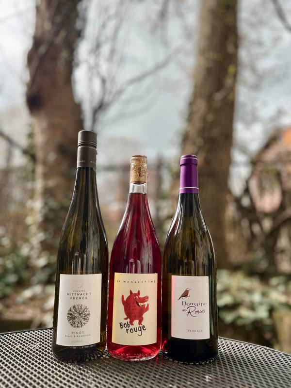 Wine Tasting with Skin Contact Wines 1