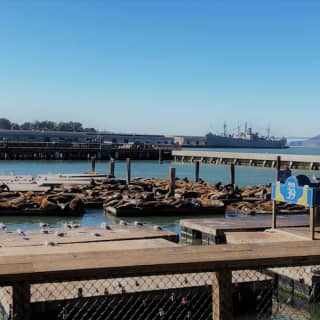 Fisherman's Wharf Walking Tour 2