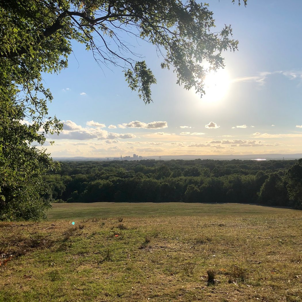 Wickham Park 2