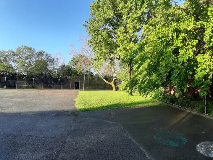 Hoffman Park 2