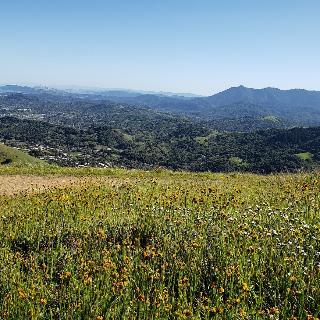 Lucas Valley Preserve 2