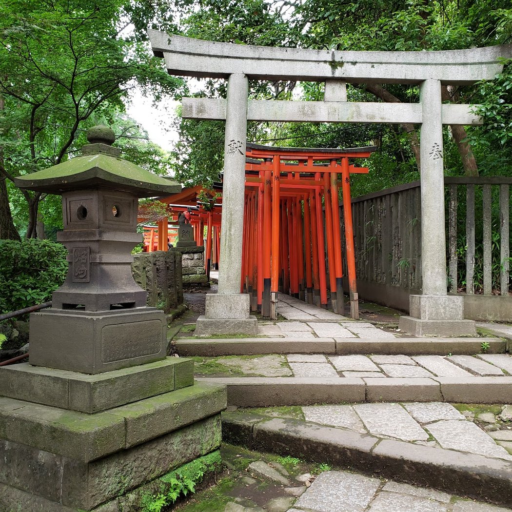 Nezu Shrine 3