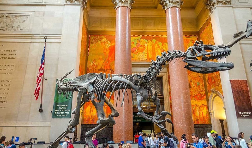 American Museum of Natural History 5