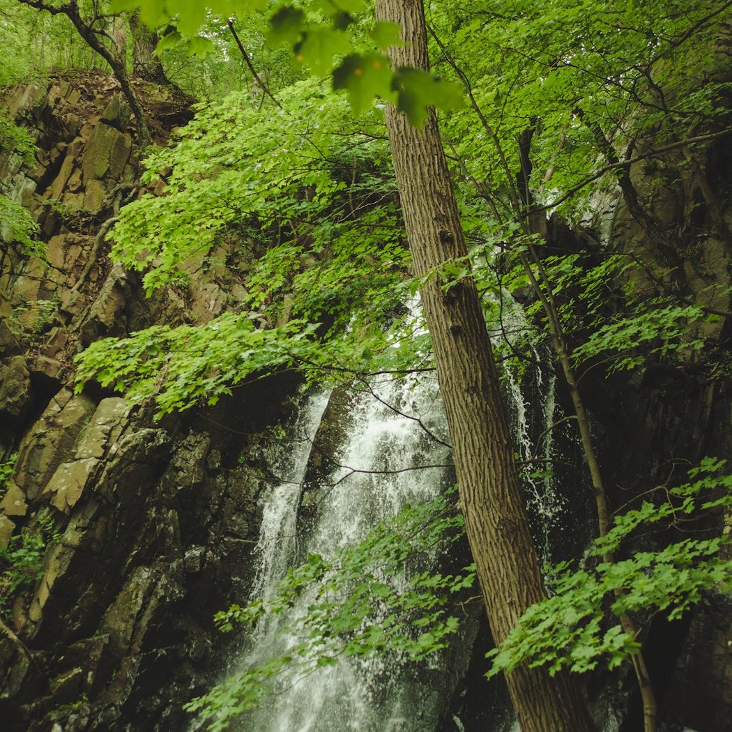 The Palisades 3