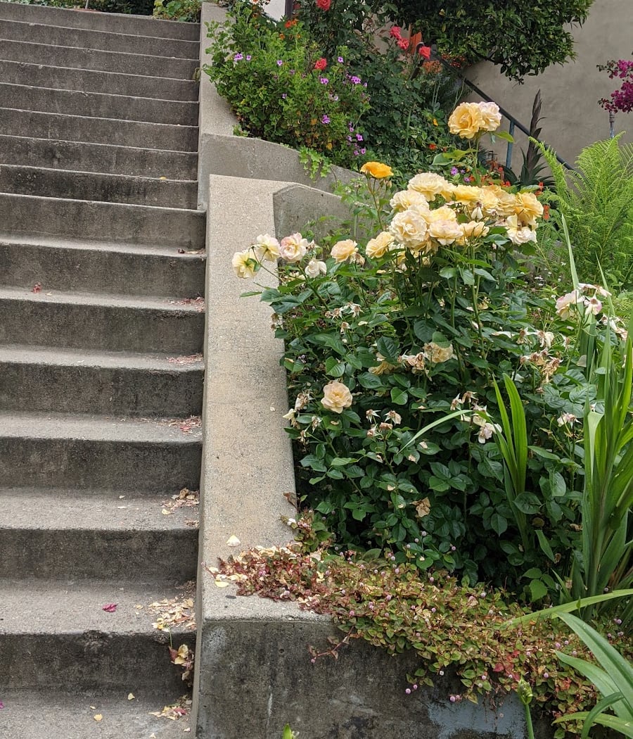 Vallejo Stairs 3