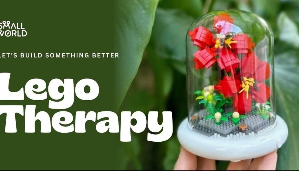 Lego Therapy 1