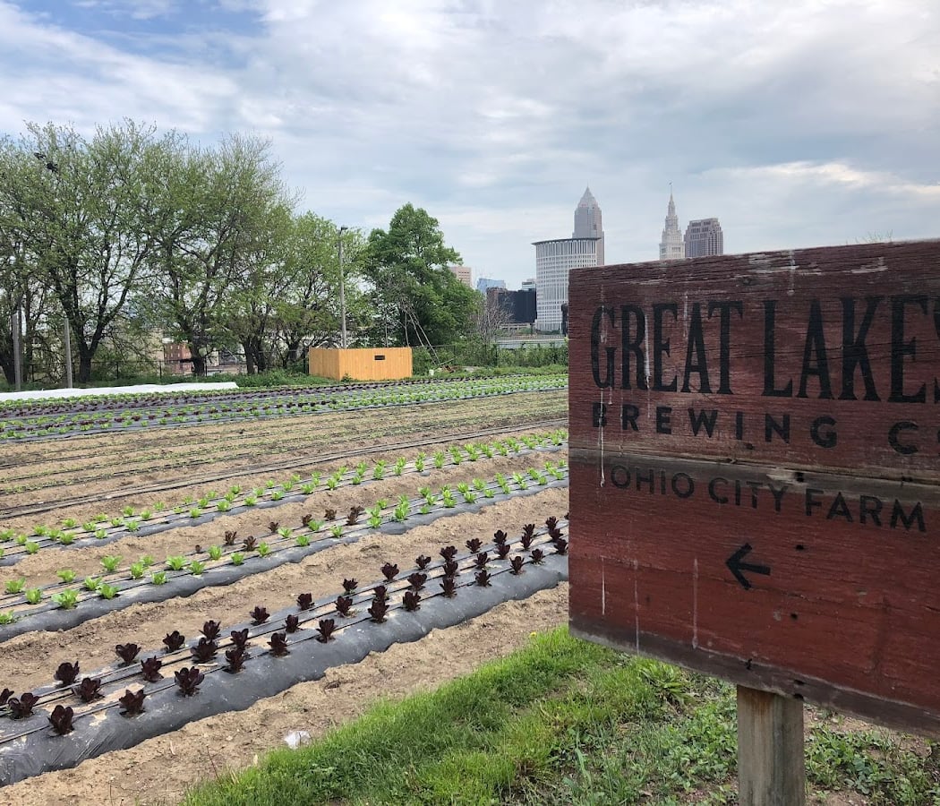 Ohio City Farm 3