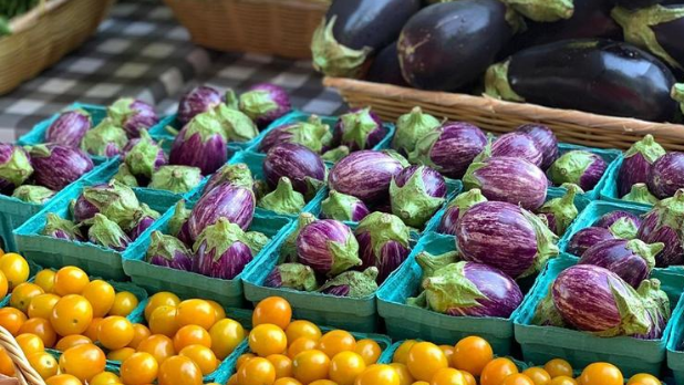 Rhinebeck Farmers' Market 2