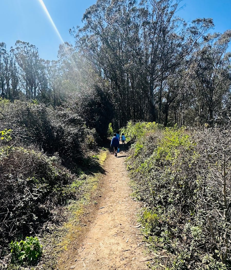 Summit Loop Trail, San Bruno Mountain 3