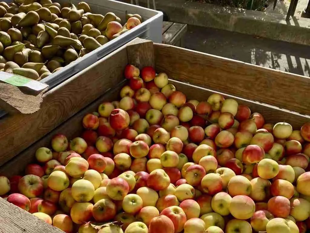 Marché d'Anvers 3