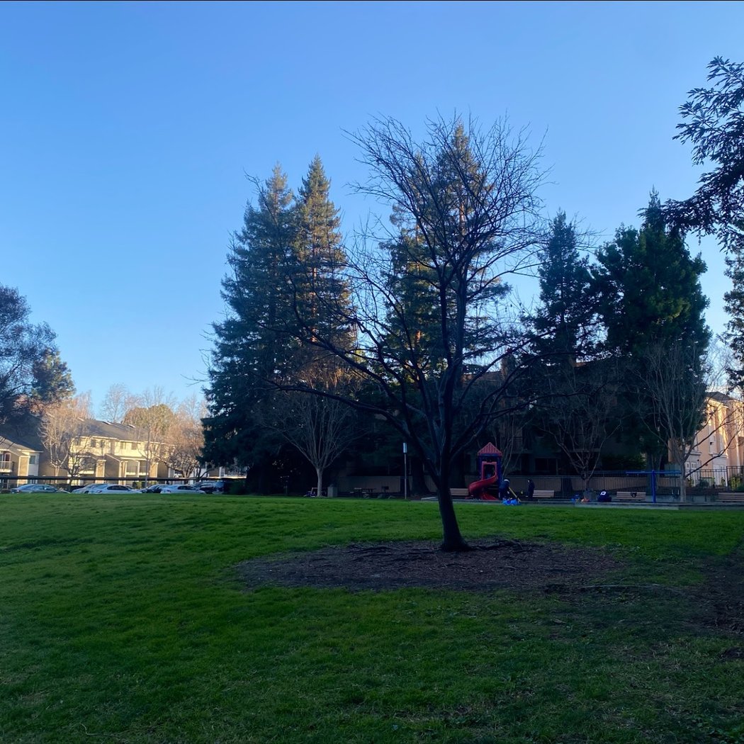 Cannery Park 2