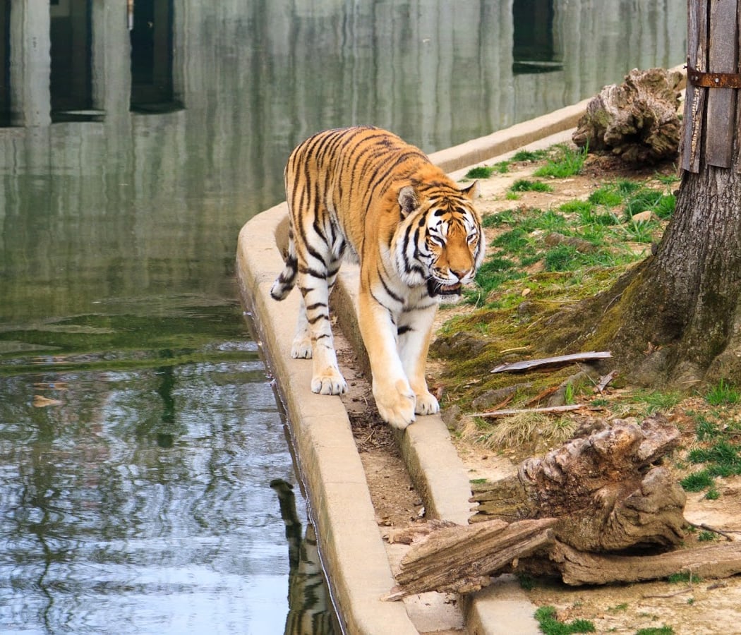 Smithsonian National Zoological Park 1