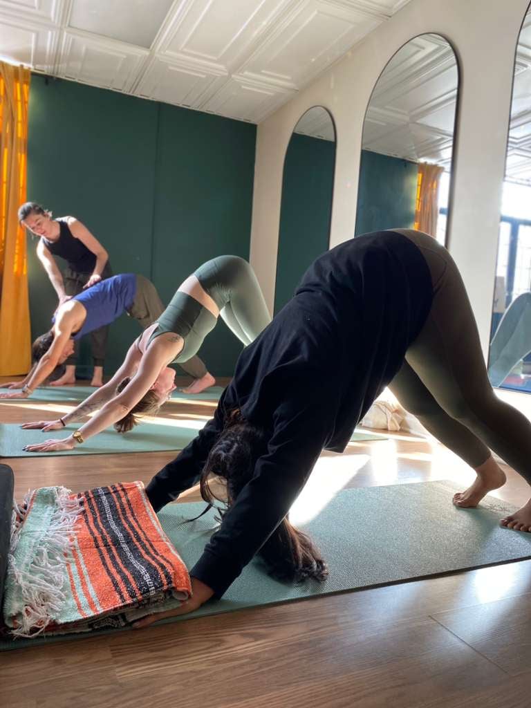 Wild Yoga LLC 2