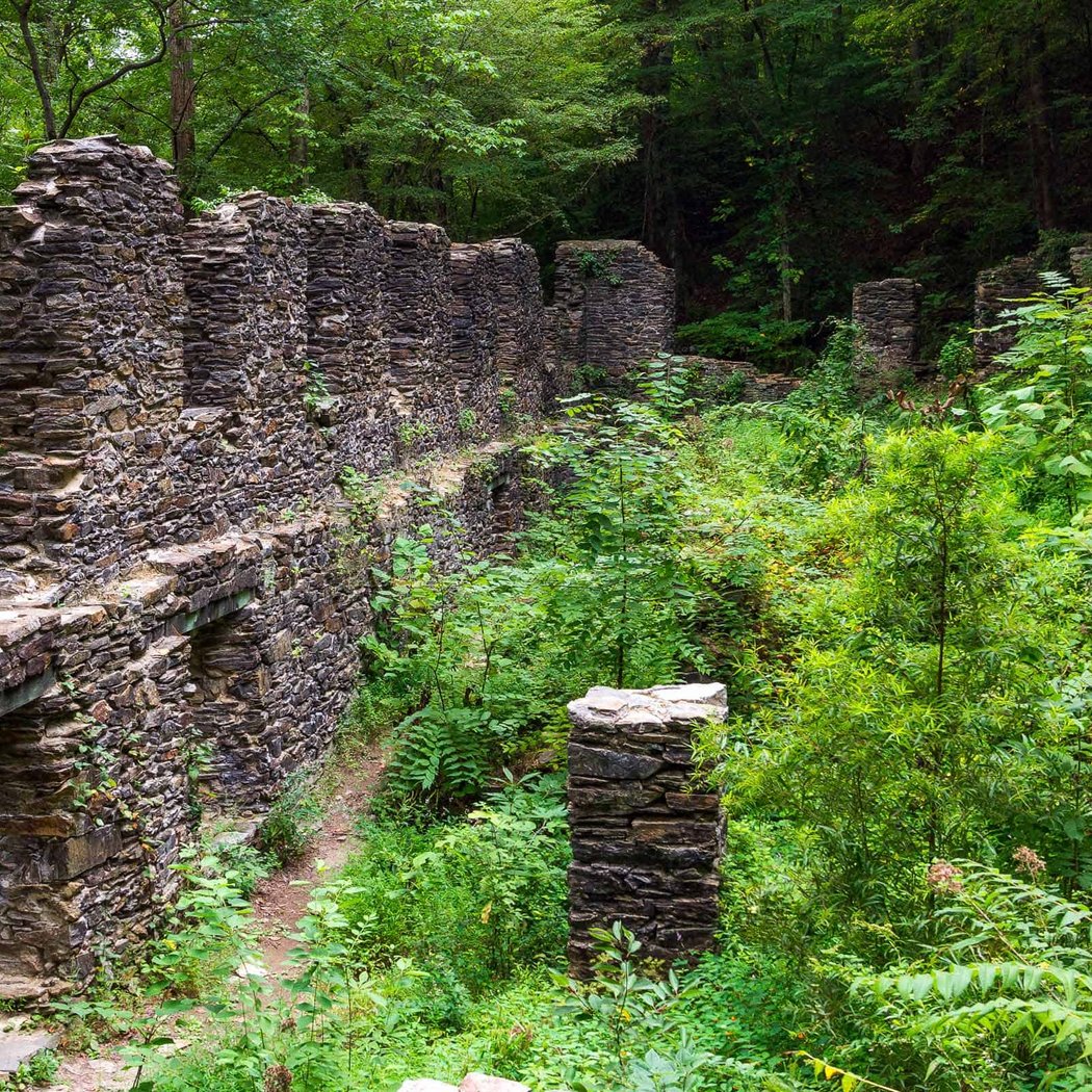 Sope Creek Trail 1