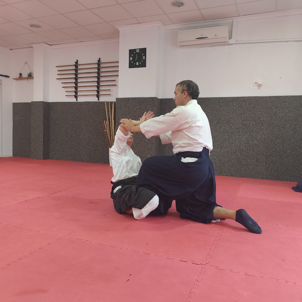 Suiguetsukan Dojo 1