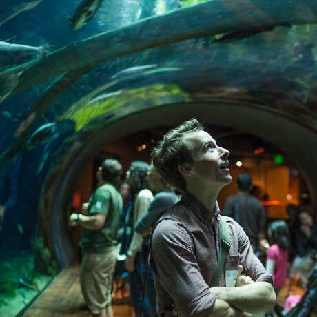 Steinhart Aquarium 2