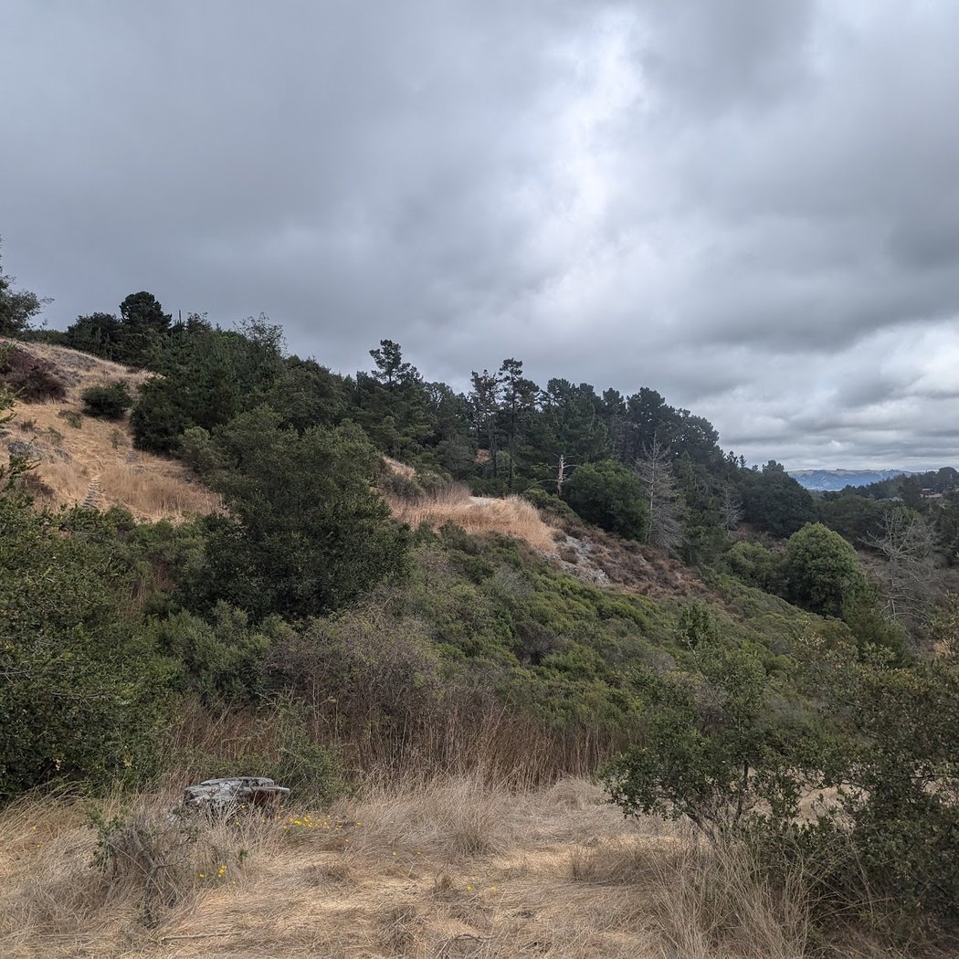 Guided Group Hike with East Bay Regional Park District 3
