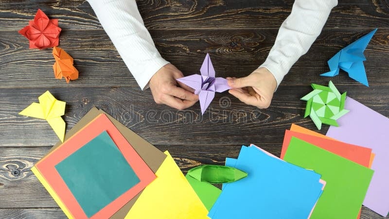 Origami Folding Art Workshop 1