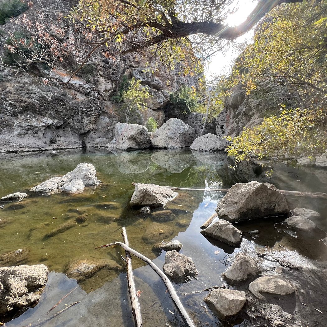 Malibu Creek State Park Night Hike: Hoots, Howls, and Night Sounds 3