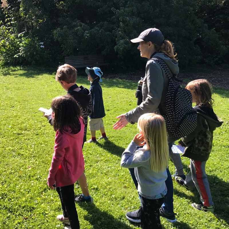 Feathered Friends: Birdwatching and Nature Art for Families 1