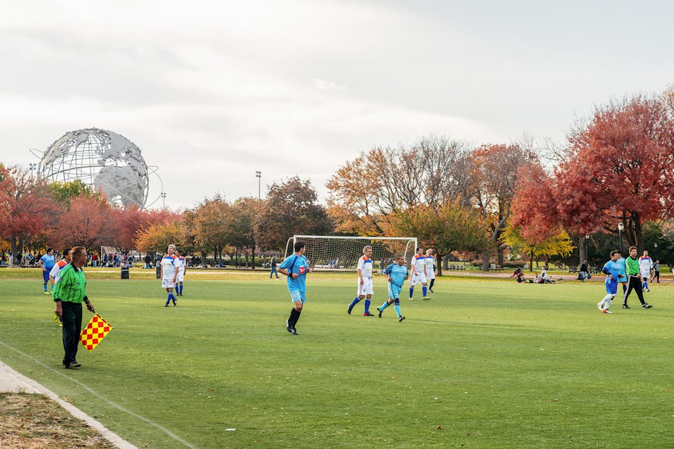 Flushing Fields 1
