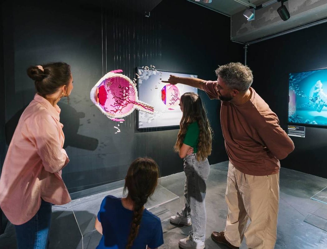 The Art of the Brick Marseille : Exposition d'art en LEGO® 2
