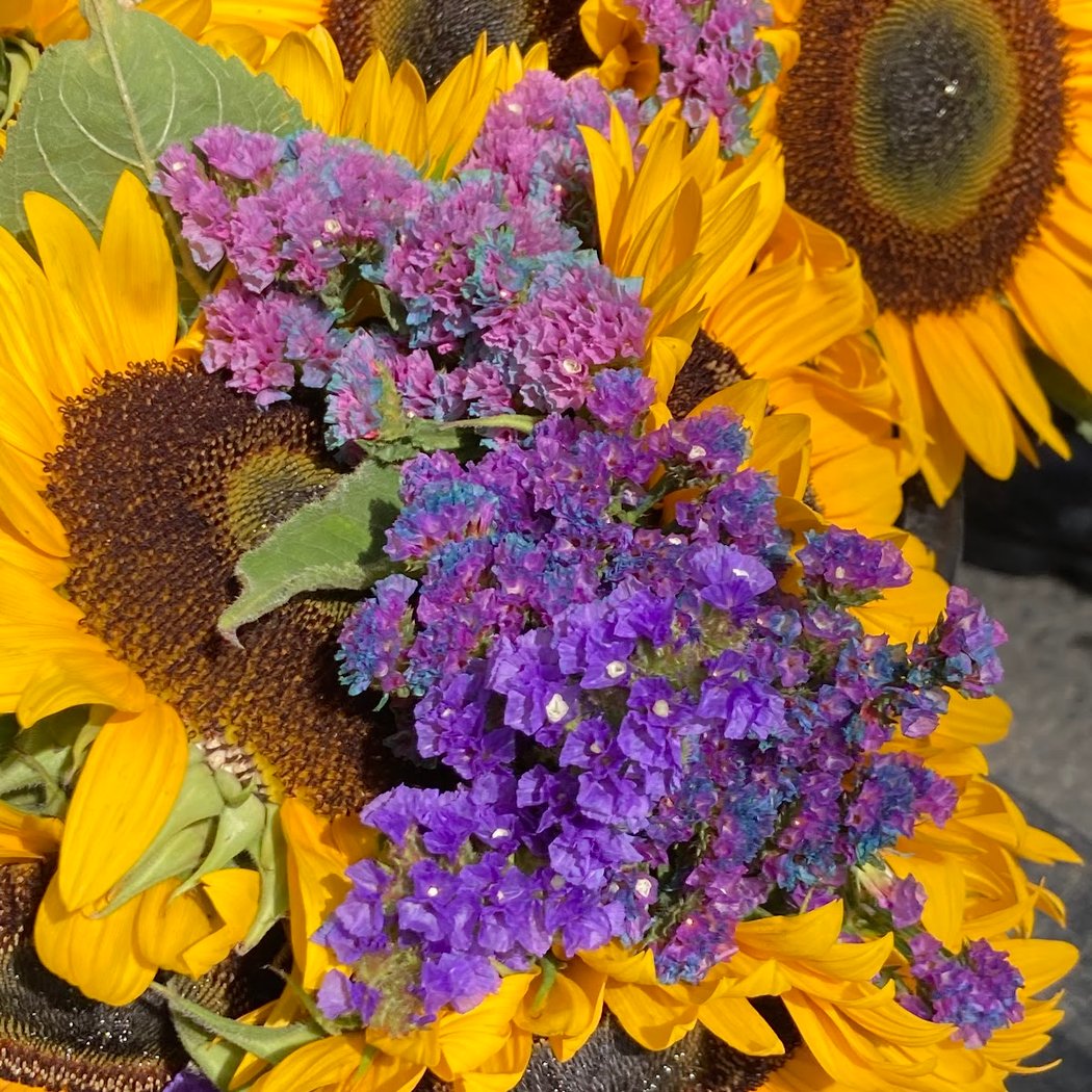 Bayside Farm Market 1