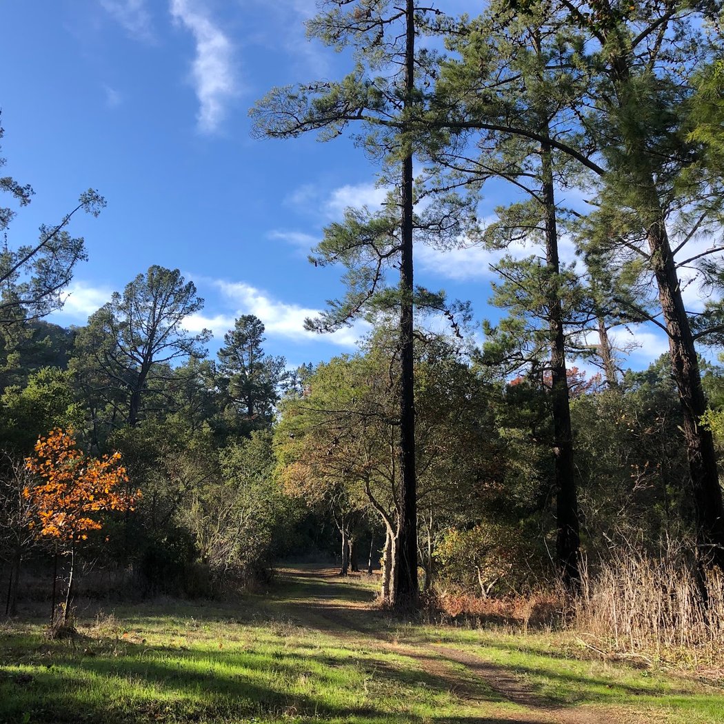 Old San Pablo Trail 1