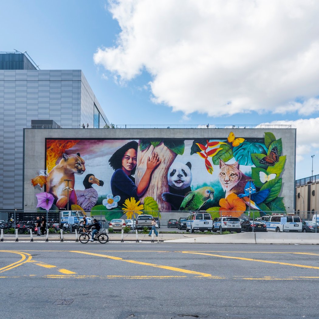 Street Art Mankind NYC Ecosystem Mural 2