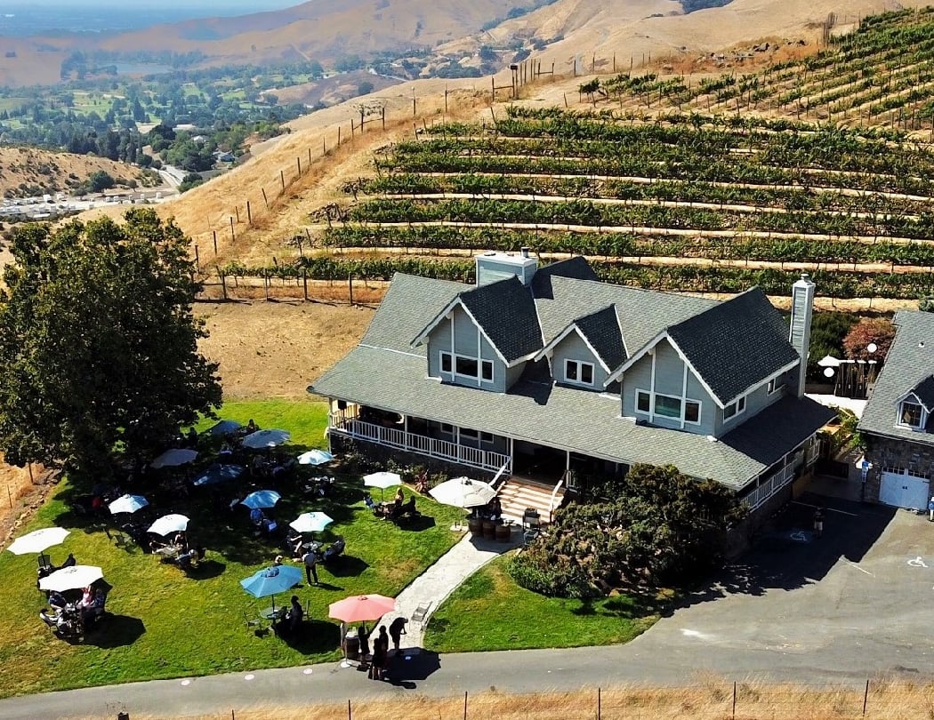 Big Dog Vineyards 5